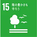 15 質の高い教育をみんなに